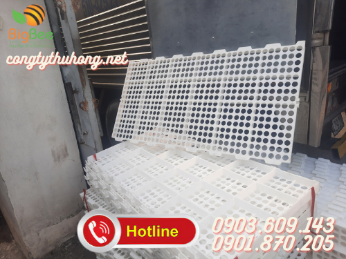 Sàn nhựa nuôi dê chất lượng