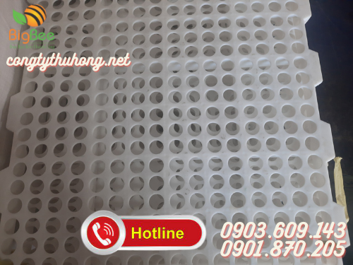Sàn nhựa nuôi dê khổ 50x100cm