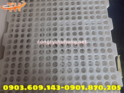 Sàn nhựa nuôi dê lổ tròn Sàn nhựa nuôi dê lổ tròn