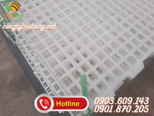Sàn nhựa nuôi dê mắt vuông