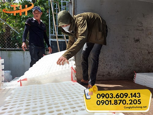 Sàn nhựa nuôi dê trắng Sàn nhựa nuôi dê trắng giá rẻ