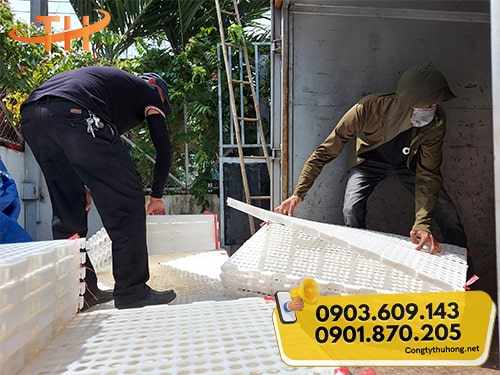 Sàn nhựa nuôi dê trắng Sàn nhựa nuôi dê trắng giá rẻ