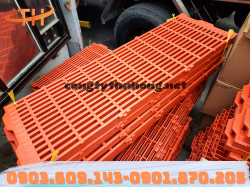 Sàn nhựa nuôi heo chất lượng