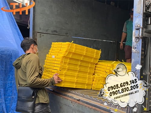 Sàn nhựa nuôi heo Sàn nhựa nuôi heo giá tốt, giao nhanh