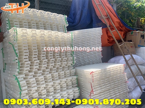 Sàn nuôi dê giá sỉ Sàn nuôi dê giá sỉ
