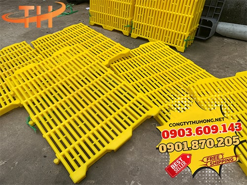 Sàn nuôi heo Sàn nuôi heo chất lượng cao