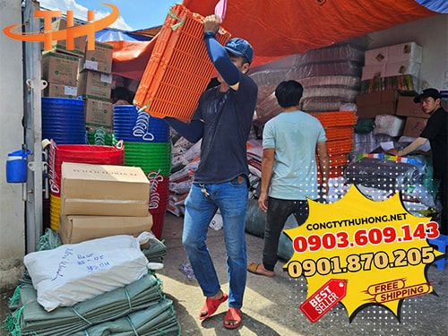 Sàn nuôi heo giá rẻ Sàn nuôi heo giá rẻ chất lượng