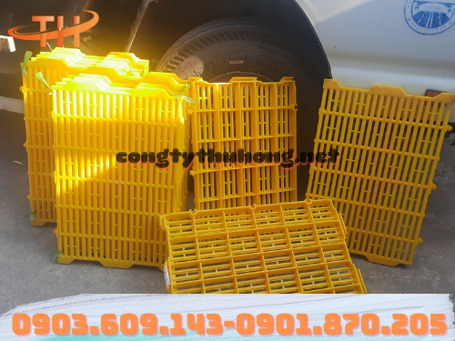 Sàn nuôi vịt ngang