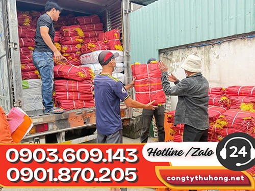 bao tải PP Sản xuất bao tải PP không qua trung gian