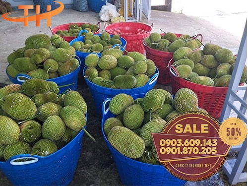 cần xé nhựa giá rẻ đủ màu Sản xuất cần xé nhựa giá rẻ đủ màu