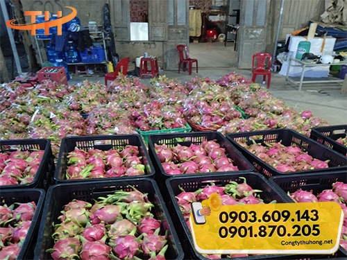 Sóng nhựa đen đựng nông sản Sóng nhựa đen giá rẻ