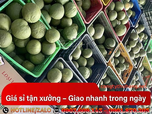 Sóng nhựa đựng hàng Sóng nhựa đựng hàng chịu lực tốt