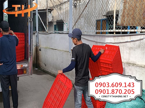 Sóng nhựa đựng trái cây giá rẻ Sóng nhựa đựng trái cây giá rẻ