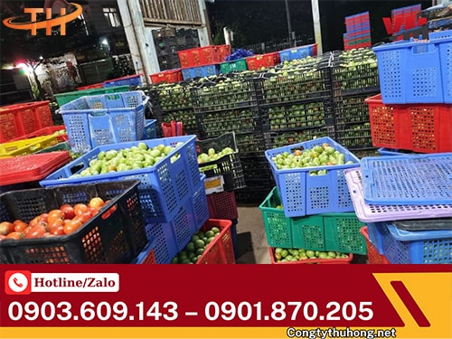 Sóng nhựa hở Sóng nhựa hở đựng rau củ