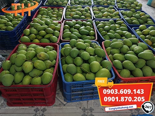 Sóng nhựa hở giá rẻ Sóng nhựa hở giá rẻ