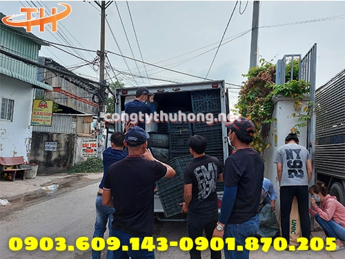 Sóng nhựa mới Sóng nhựa mới