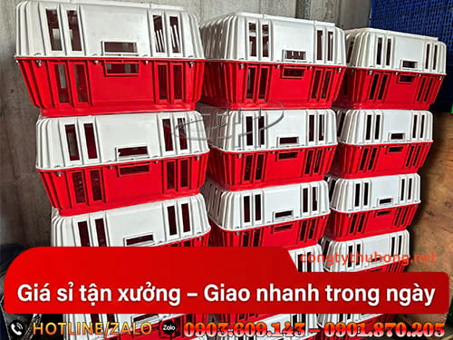 Sọt nhựa đựng gà Sọt đựng gà