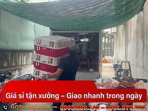 Sọt nhựa đựng gà Sọt nhựa đựng gà giá sỉ TPHCM