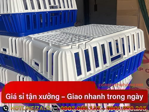 Sọt nhựa đựng gà Sọt nhựa đựng gà thông thoáng