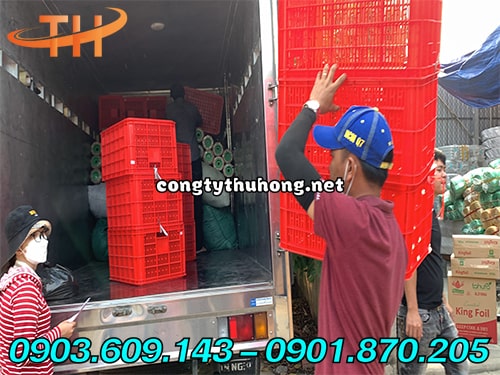 Sọt nhựa đựng nông sản Sọt nhựa đựng nông sản