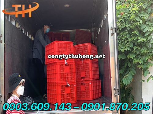 Sọt nhựa đựng nông sản Sọt nhựa đựng nông sản