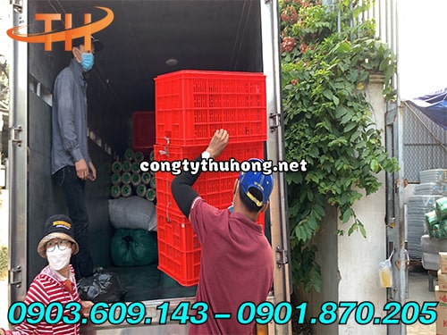 sọt nhựa đựng nông sản sọt nhựa đựng nông sản