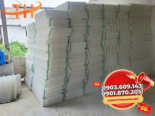 Sàn nhựa chăn nuôi Sử dụng sàn nhựa chăn nuôi 2025