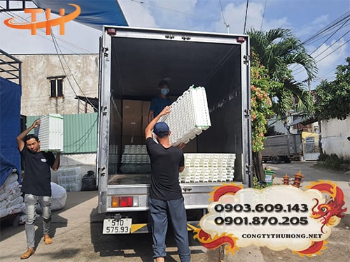 Sàn nhựa chăn nuôi chất lượng Sử dụng sàn nhựa chăn nuôi đúng cách