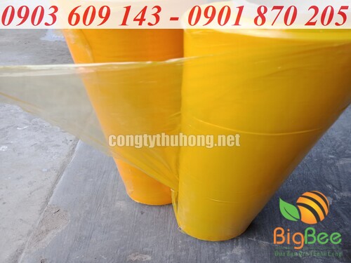 Cuộn màng PE màu vàng tại xưởng