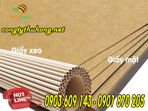 tấm carton 2 lớp