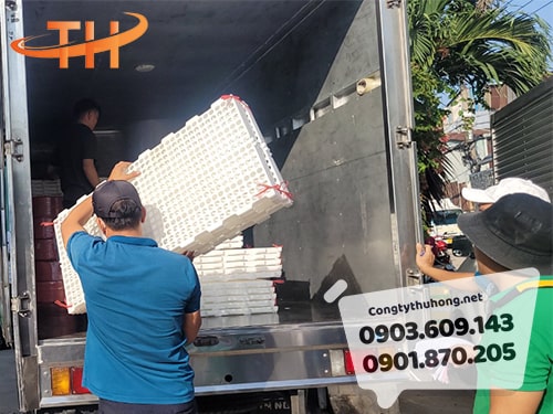 Tấm lót sàn chuống vịt giá rẻ Tấm lót sàn chuống vịt giá rẻ