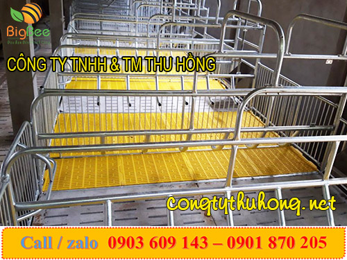 tấm lót sàn nhựa