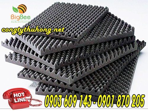 Mút trứng tiêu âm