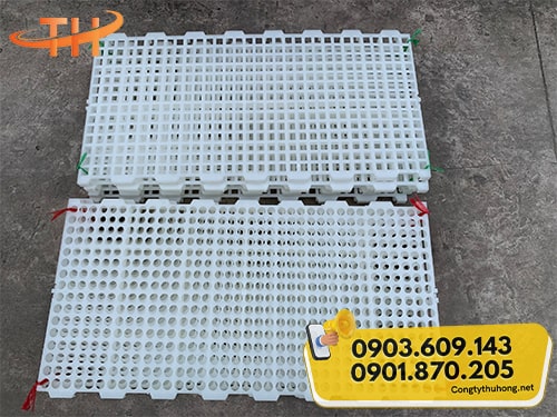 Tấm nhựa lót sàn chăn nuôi trắng Tấm nhựa lót sàn chăn nuôi