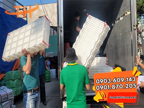 Tấm nhựa lót sàn chuồng dê Tấm nhựa lót sàn chuồng dê