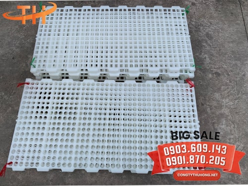 Tấm nhựa lót sàn dê Tấm nhựa lót sàn dê