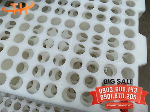 Tấm nhựa lót sàn dê lỗ tròn Tấm nhựa lót sàn dê lỗ tròn