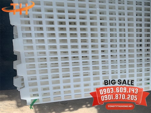 Tấm nhựa lót sàn dê lỗ vuông Tấm nhựa lót sàn dê lỗ vuông