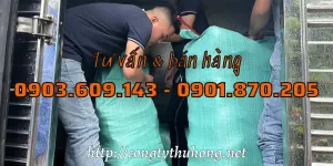 Đóng bao tải giao ra chành cho khách tỉnh