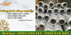 Bán màng phủ nông nghiệp đục lỗ sẵn giá rẻ