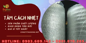 Cung ứng túi khí cách nhiệt giá sỉ rẻ tại Tp.HCM