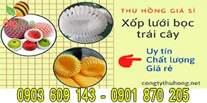 Đại lí cung cấp xốp lưới bọc trái cây, xốp bọc ổi giá rẻ
