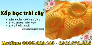 Nhà sản xuất xốp bọc trái cây giá sỉ