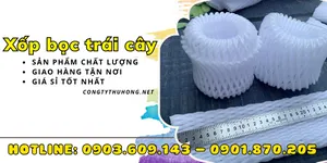 Xốp bọc trái cây nhiều size giá tại xưởng