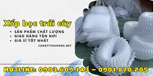 Xốp bọc trái cây 15cm, 16cm, 20cm, 22cm giá rẻ