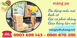 Nhập kho màng pe bọc hàng, màng quấn pallet