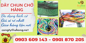 Chuyên sỉ các loại dây chun chằng chở hàng giá tốt