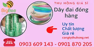 Dây đai đóng hàng, dây đai pp, dây đai pet giá sỉ tại HCM