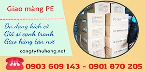 Giao 50 thùng màng PE cho khách sỉ tại Phú Yên