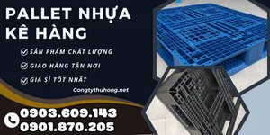 Bán pallet nhựa kê hàng kho xưởng, xuất khẩu giá sỉ